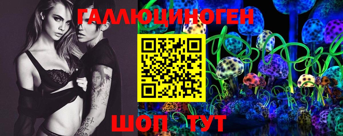 Псилоцибиновые грибы Psilocybine cubensis Полевской