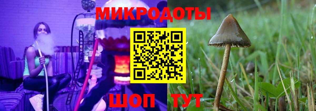 Псилоцибиновые грибы Cubensis  как найти   Полевской  Вход с VPN 